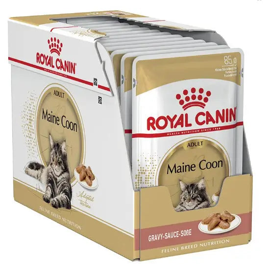 Royal Canin Adult Maine Coon Pouch Box 12X85Gr, wet food for cats
