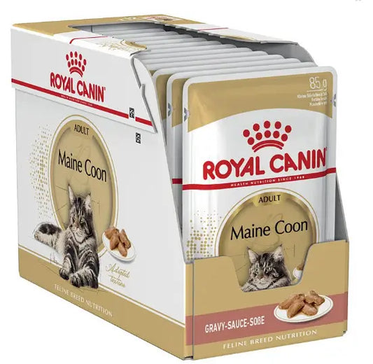 Royal Canin Adult Maine Coon Pouch Box 12X85Gr, wet food for cats