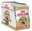 Royal Canin Adult Maine Coon Pouch Box 12X85Gr, wet food for cats