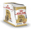 Royal Canin Adult Shih Tzu Pouch Boxed 12X85Gr, wet dog food