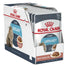 Royal Canin Adult Urinary Care Pouch Box 12X85Gr, wet food for cats
