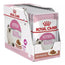 Royal Canin Kitten Salsa Pouch Box 12X85Gr, wet food for cats