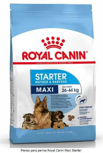 Royal Canin Starter Maxi 4Kg, dog food for dogs