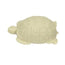 Savon Du Midi Turtle Soap Tablet 8pcs Bio