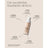 Sensilis Upgrade Make Up Lift Effect Cream Make Up 01 Beige 30 ml