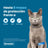 Collier pour chat Seresto