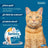 Collier pour chat Seresto