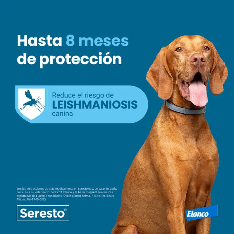 Seresto Collier pour chien +8Kg Large Pack 3 unités