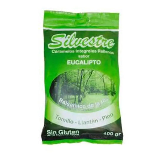 Silvestre Eucalyptus Sugar Filled Sweets 100Gr.