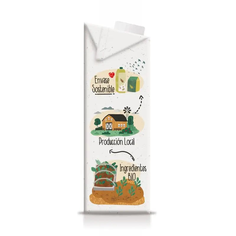 Soria Natural Flax Vegetable Drink 1Lt 6Pcs. Bio S/A