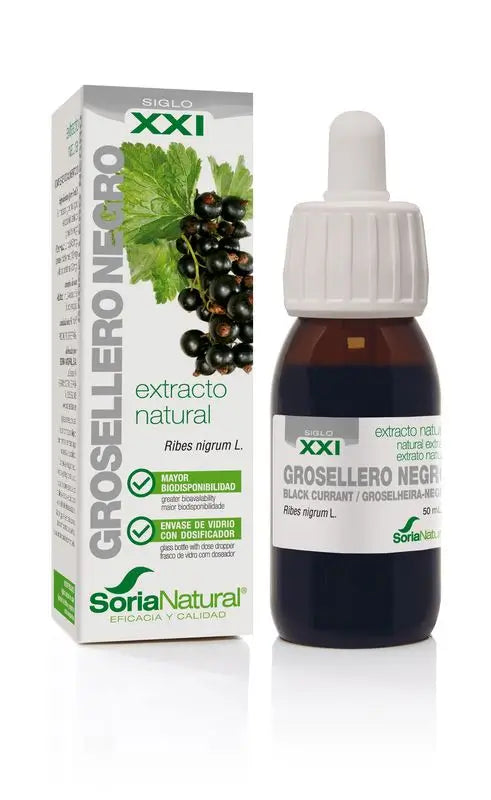 Soria Natural Black Currant Extract S Xxi, 50 Ml