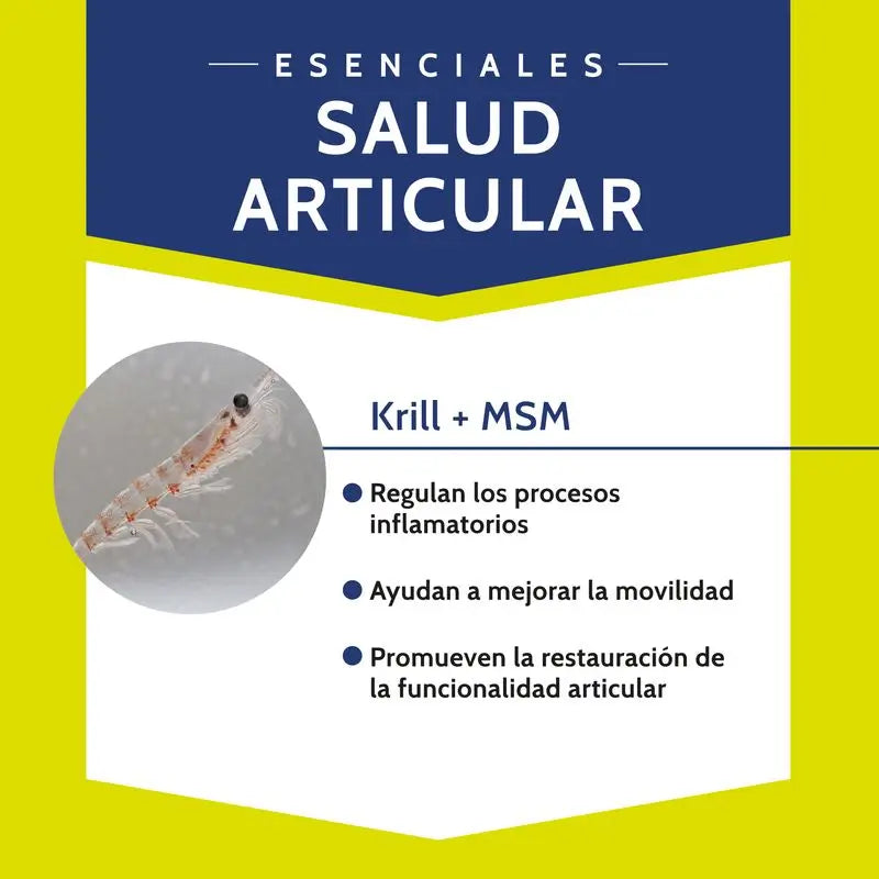 Stangest Chondrocare 30 Comprimés
