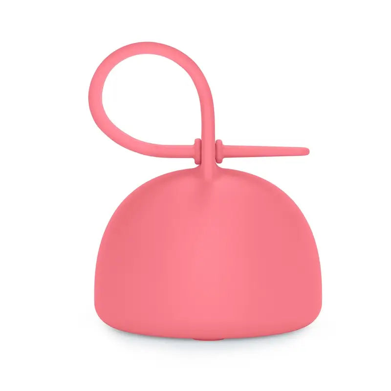 Suavinex Porte-sucette en silicone avec poignée, +0 mois, Fuchsia