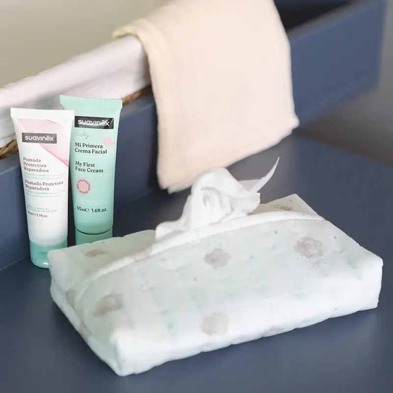 Suavinex Newborn Gift With Cloth Towelette Holder, Blue (Cadeau pour nouveau-né avec porte-serviette en tissu)