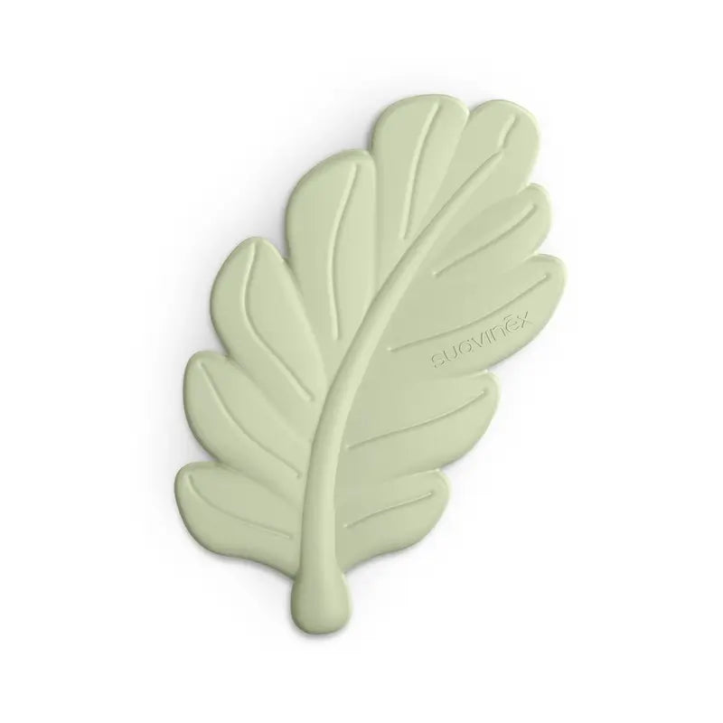 Suavinex Coffret cadeau sucette + tétine + biberon 270 Ml (M) + anneau de dentition, vert