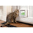Sure PetCare SureFlap - Chatière blanche à puce électronique