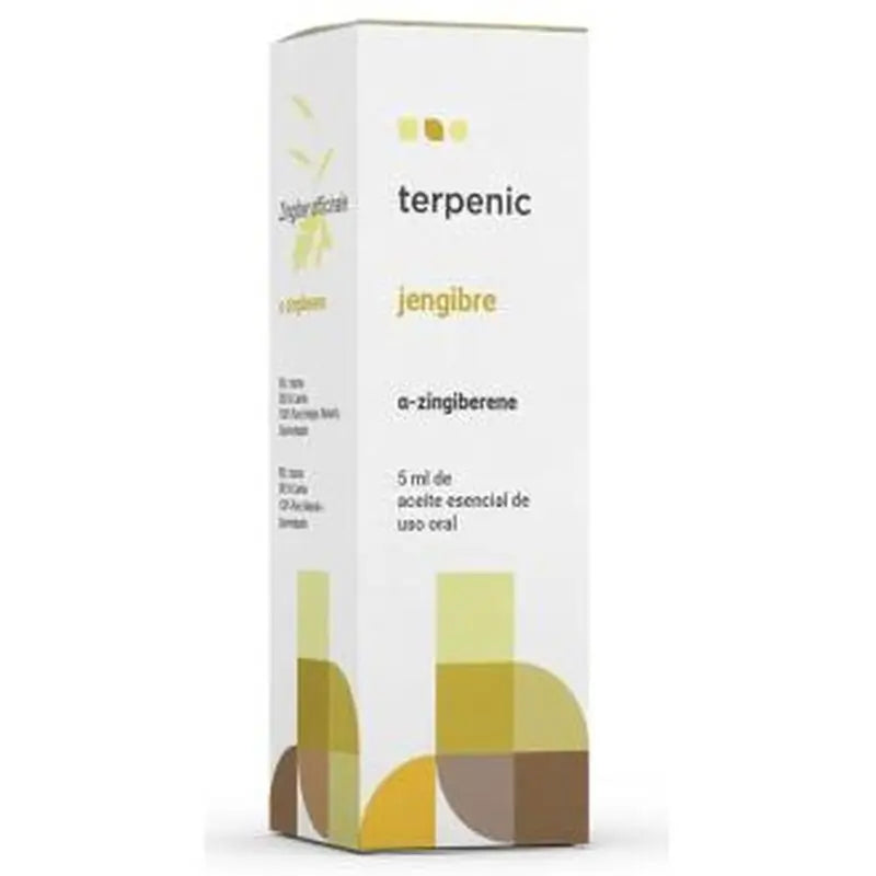Terpenic Ginger Essential Oil 5Ml