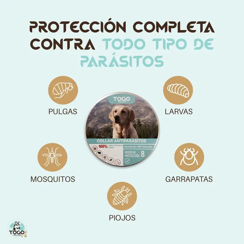 Collier répulsif antiparasitaire Togo pour chiens de toutes tailles - blanc