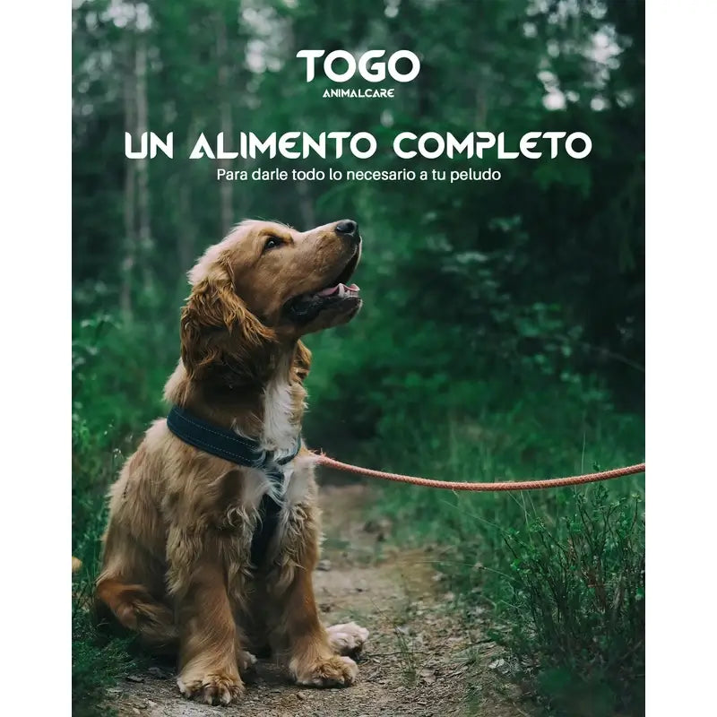 Togo Aliment pour chiens au saumon naturel hypoallergénique, 15 kg