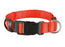 Trixie Collar With Orange Light M-L 40-55Cmx25Mm
