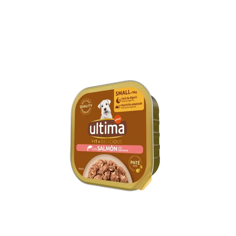 Dernière nourriture humide Ud Mini Wet Terrine au saumon, sans céréales, 150 g