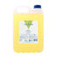 Valquer Shampooing à la pomme, 5 L