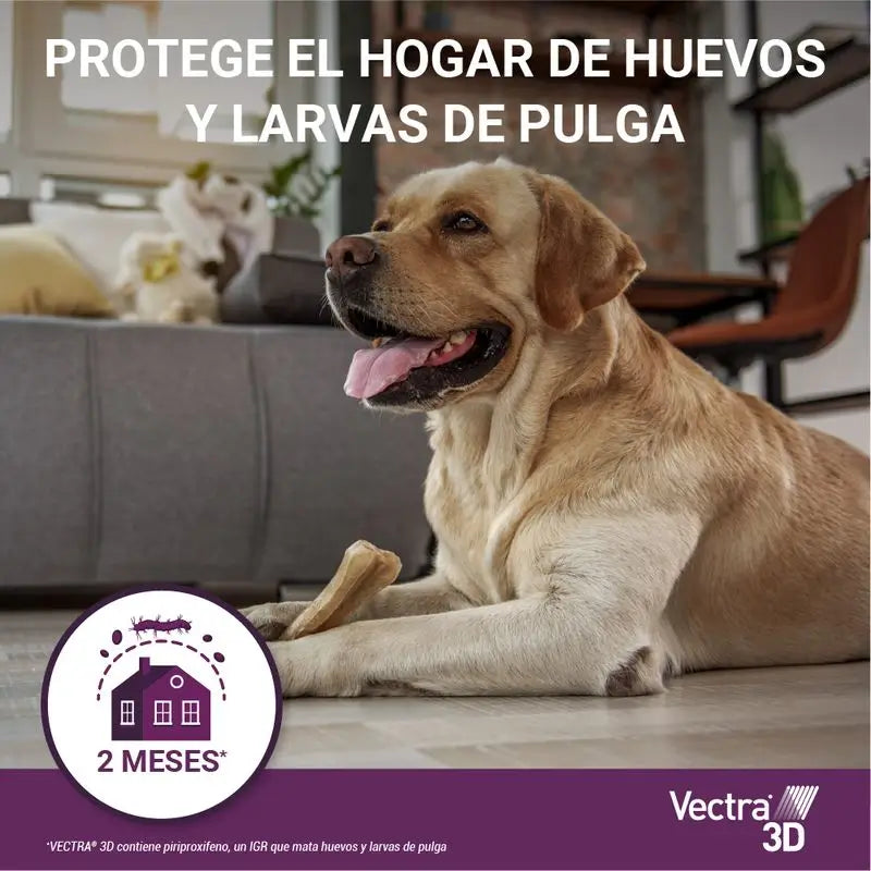 Vectra 3D Chien 25-40 kg, 3 pipettes