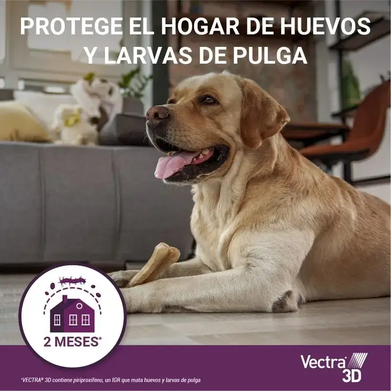 Vectra 3D Dog +40 kg, Pack 2 x 3 Pipettes