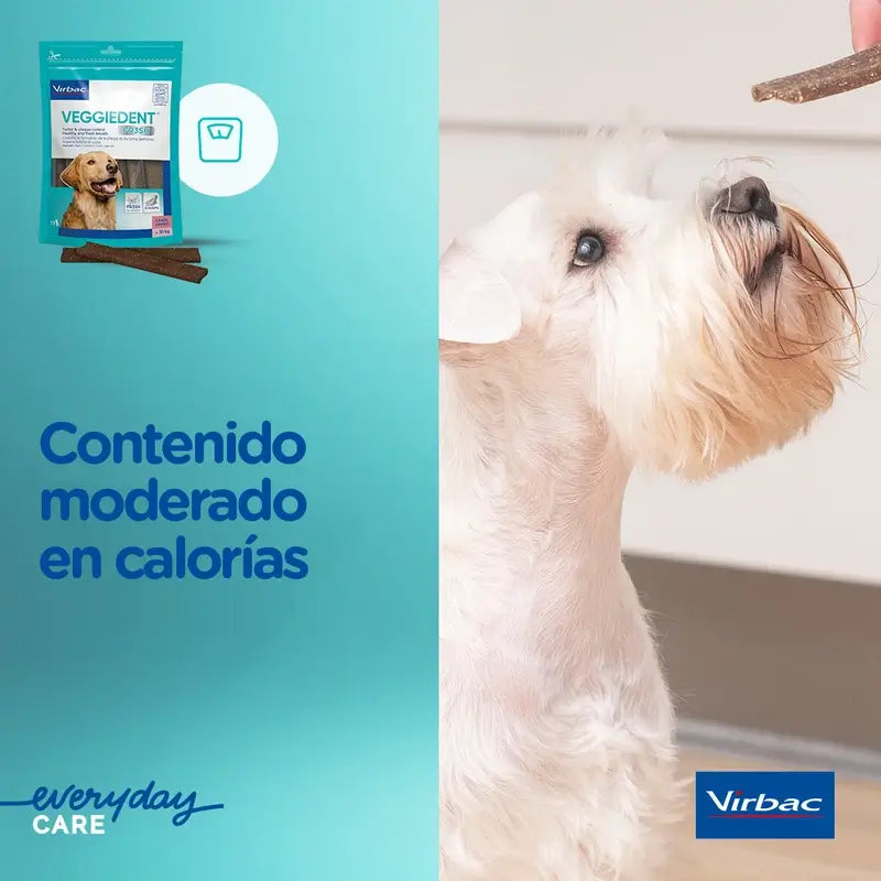 Virbac Veggiedent Fr3sh M, Snacks dentaires pour chiens de taille moyenne