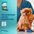 Virbac Veggiedent Fr3sh S, Snacks dentaires pour chiens de petite race