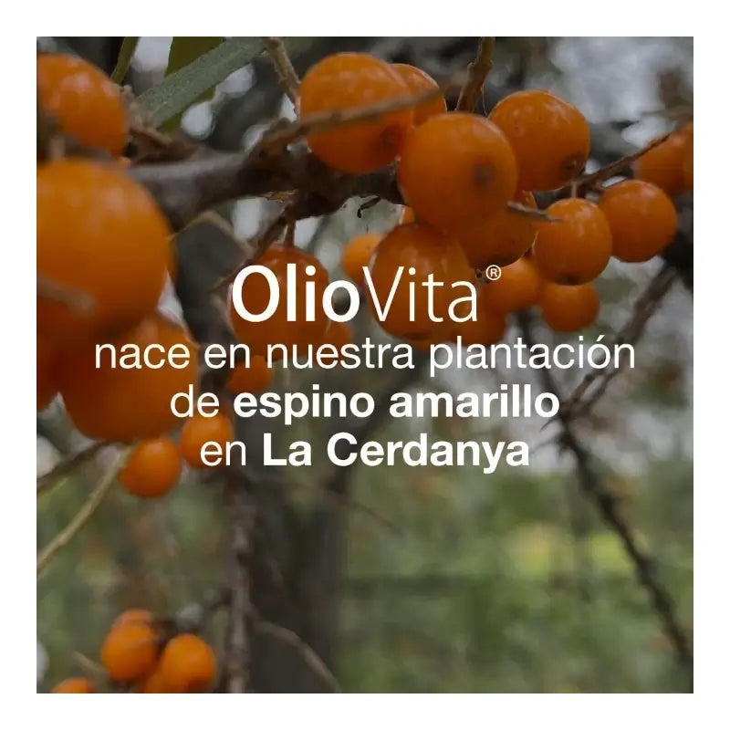 VITAE Oliovita, 120 gélules