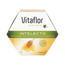 Vitaflor Intellect 20 Ampoules