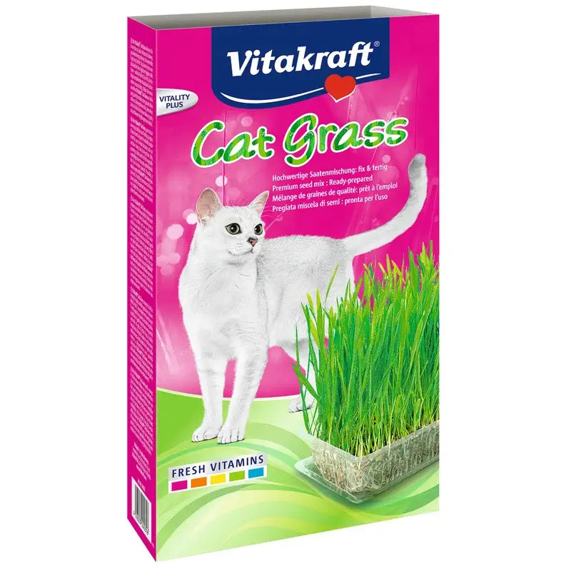 Vitakraft Cat Grass – Herbe pour chats – 120 grammes