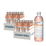 Vitamin Well Pack Antioxidant Peach, 24 unités X 500 Ml