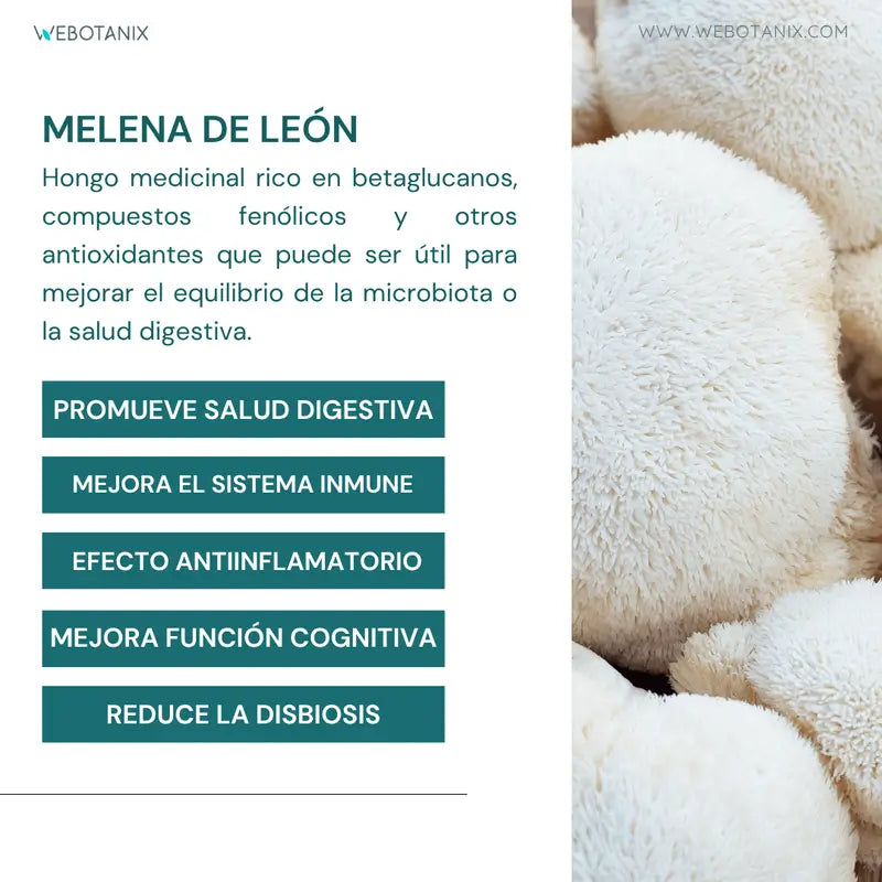 Webotanix Probiotax Microbiota, 60 gélules