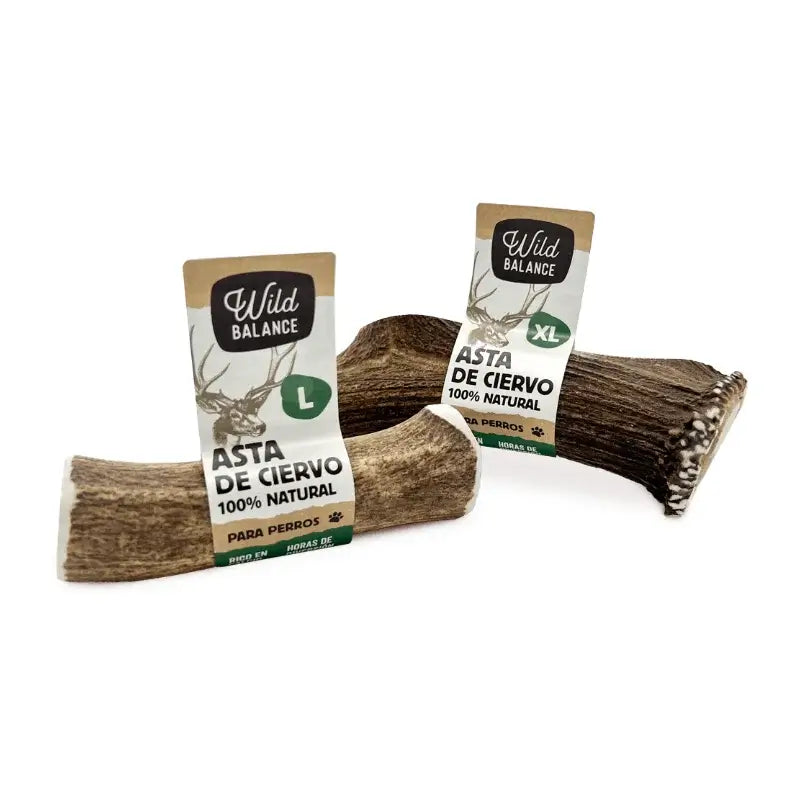 Wild Balance : Corne de cerf entière (taille M) – Jouet à mâcher naturel pour chiens