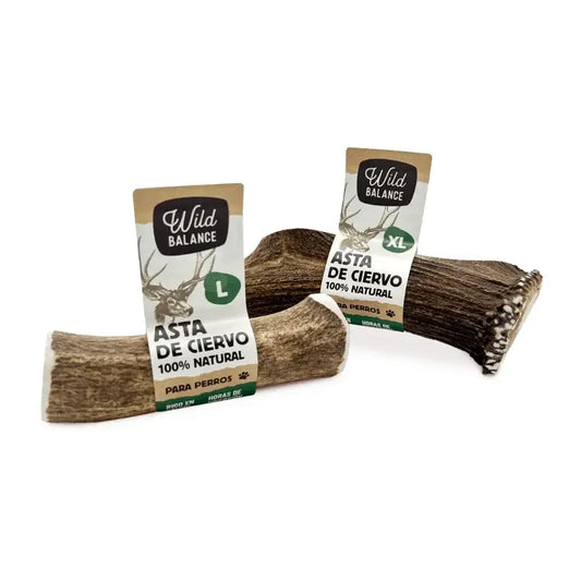 Wild Balance : Corne de cerf entière (taille M) – Jouet à mâcher naturel pour chiens
