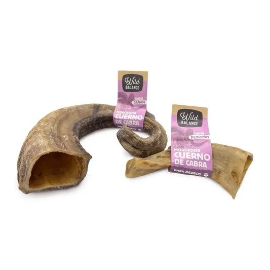Wild Balance : petite corne de chèvre, jouet à mâcher naturel pour chiens