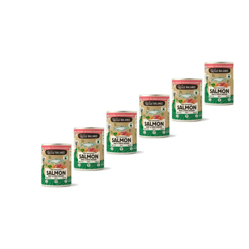 Wild Balance saumon et bœuf en conserve avec légumes pour chiens, 400 g, paquet de 6